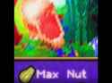 1000117197