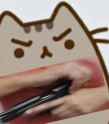 pusheengun