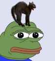 pepe cat