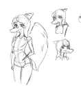 csp fang 1