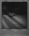 12. Photo of Guilt