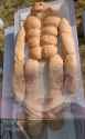 the breadman