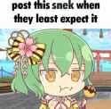 suprirse snek