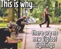 bigfoot urban stealth
