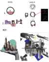 concepts