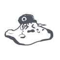 GsonauybIAApn02