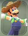 farmer luigi