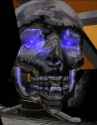 Spook