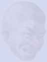 1698232533586352