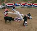 toro totter