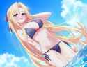 Vanguard Swimsuit
