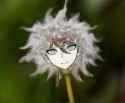 Shuichi_love_ 1930255557933576601 1