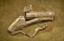 navy seal pirate gun