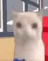 1745623438260297