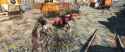 Fallout 4 Screenshot 2025.06.04 - 17.15.10.20