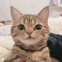 smuggie