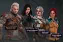 Witcher survivors