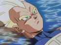 vegeta floating