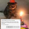 1706111451935641