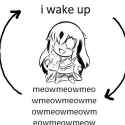 Meowning Routine