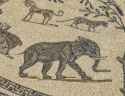 5a Volubilis elephant