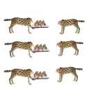 several severed servals serve several severed servals several severed servals