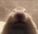 me rn