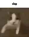 1661900633361765