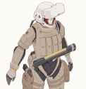 pilot_c11