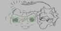 wani fankid trent and petunia bonk