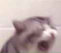 1623350303269