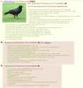 Crow