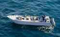 narcoboat-3783890201