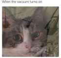 1656494791907