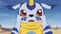 gabu_blank_stare