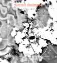 1718502974482970