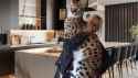 serval