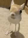jerb