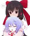 reimu hug