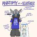 Anatomy_of_a_Nightfarer