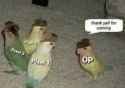 1725775231637584