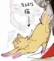cat