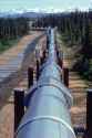 Section-Trans-Alaska-Pipeline-Alaska[1]