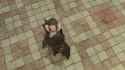 2025-06-06 16-55-44 ffxiv_dx11
