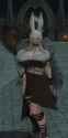 image(12)