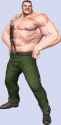 Mike_Haggar_MVCI