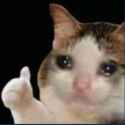881