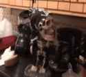 haunted-skull-toy-toy