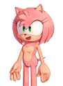 Amy Rose(1)