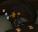 sleep